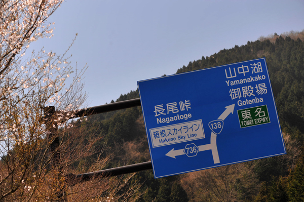 411 tsuika 2 DSC_8253.jpg